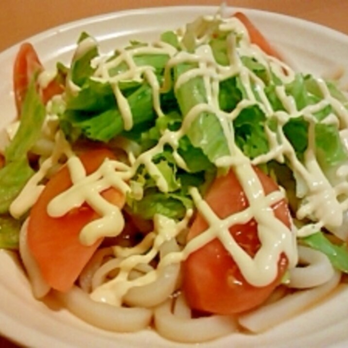 ●野菜たっぷりサラダうどん●